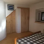 Case de vacanță Vacation