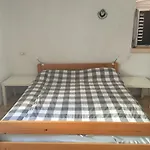 Case de vacanță Vacation Ustrine