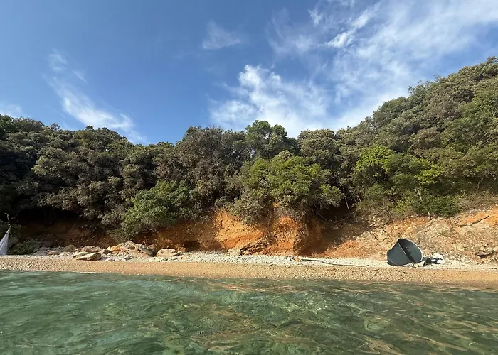 Vacation * Ustrine