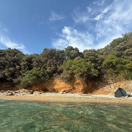 Vacation * Ustrine