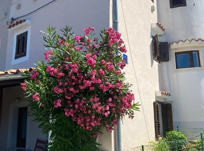 Vacation Tatil Evi Ustrine